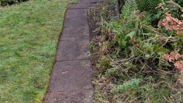 Untitled design (11)